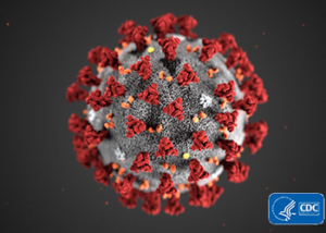 Coronavirus